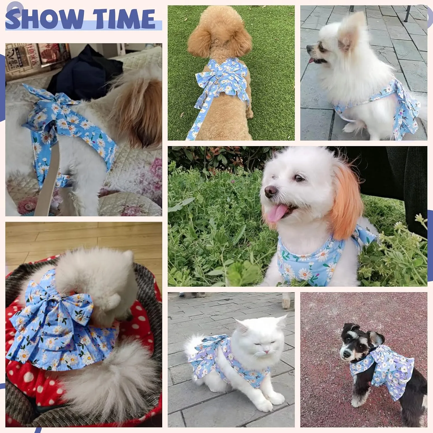 BAEJMJK Dog Dress Bowknot Harness Leash Set for Small Dogs Cats Daisy Floral Girl Dog Dresses Cute Puppy Princess Clothes Pet Doggy Outfits Spring Summer Breathable Dresses(Blue,Large)