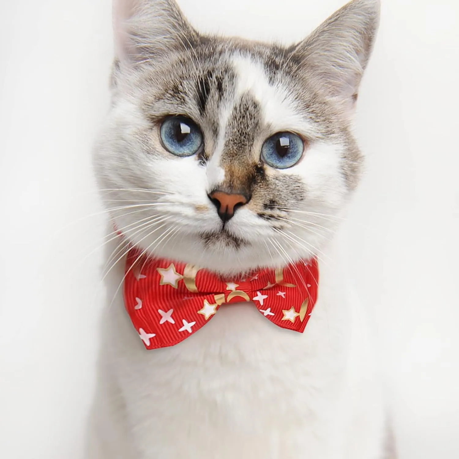 CAMAL Personalized Cat Collar with Stainless Steel Pet Id Tag & Cute Bow Tie, Moons & Stars Pattern Breakaway Cat Collar with Bell for Cat Puppy, Adjustable Kitten Collar 7.4"-11.8" (Purple)