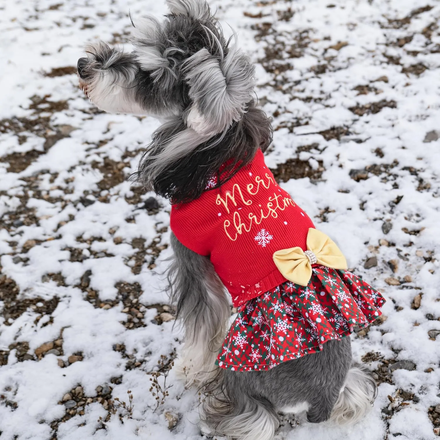CuteBone Christmas Dog Sweater Dress Turtleneck Puppy Sweater with Bowtie Leash Hole Pullover Winter Dress for Small Dogs