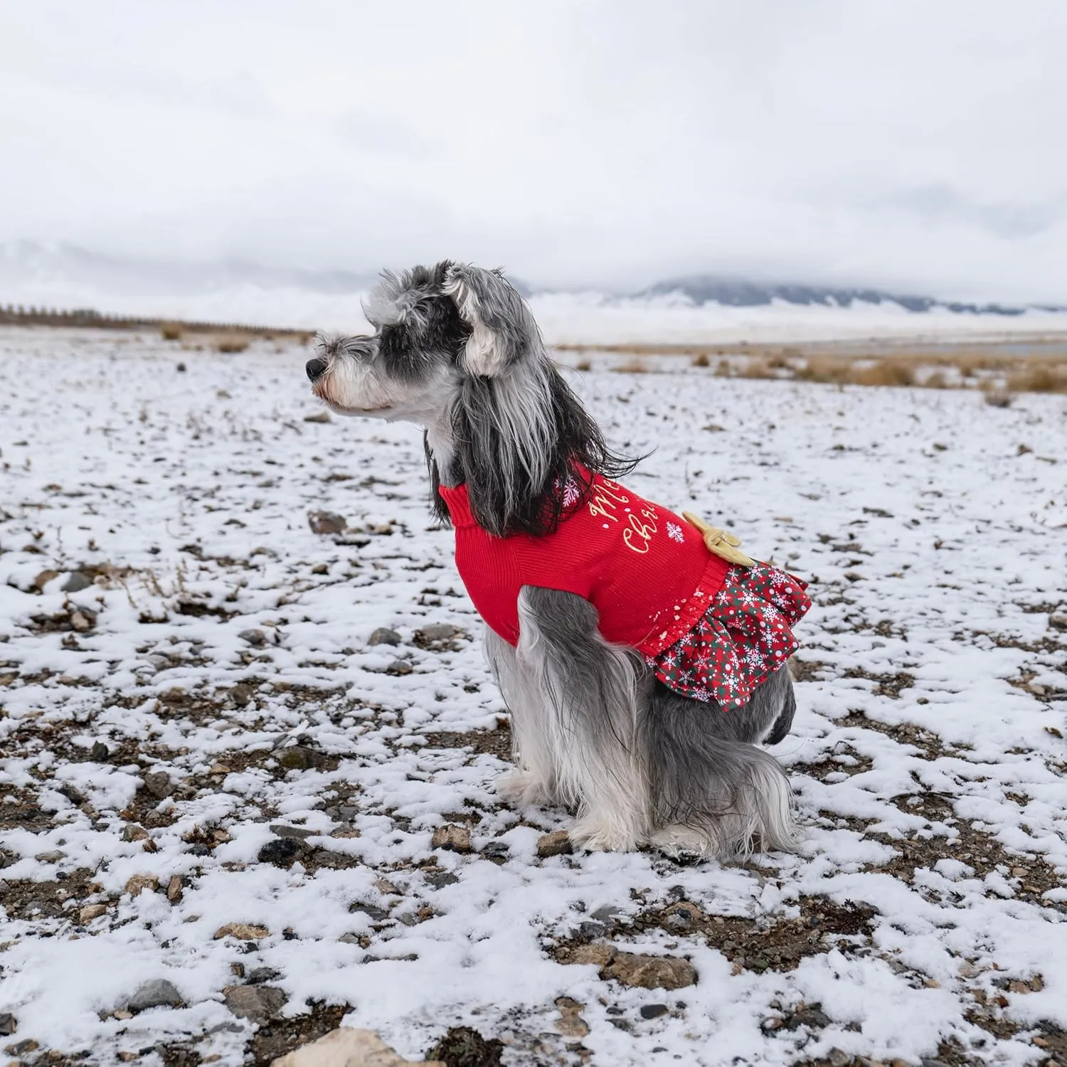 CuteBone Christmas Dog Sweater Dress Turtleneck Puppy Sweater with Bowtie Leash Hole Pullover Winter Dress for Small Dogs