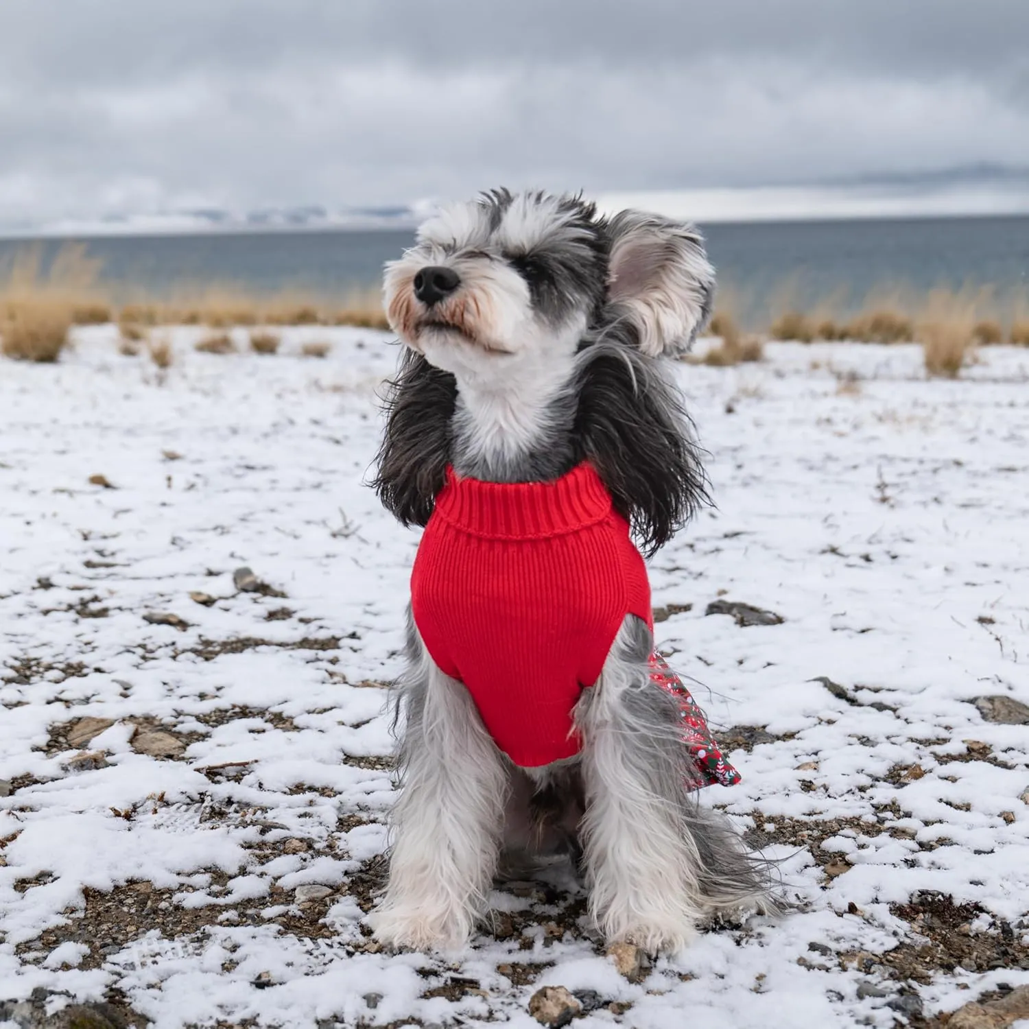 CuteBone Christmas Dog Sweater Dress Turtleneck Puppy Sweater with Bowtie Leash Hole Pullover Winter Dress for Small Dogs
