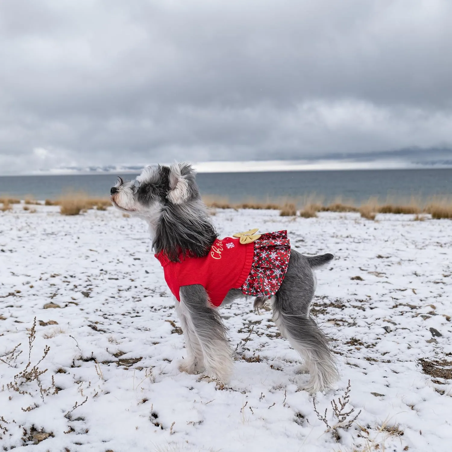 CuteBone Christmas Dog Sweater Dress Turtleneck Puppy Sweater with Bowtie Leash Hole Pullover Winter Dress for Small Dogs