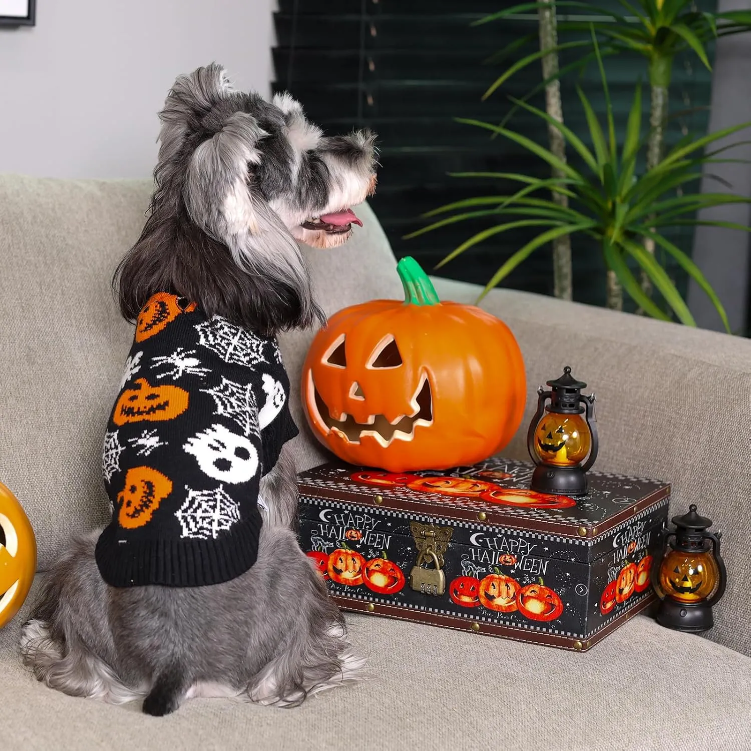 CuteBone Skull Dog Sweater Black Dog Sweater with Leash Hole Puppy Clothes for Medium Dogs Cozy Sweatshirts Puppy Sweater for Chihuahua Yorkie Teacup DS100M