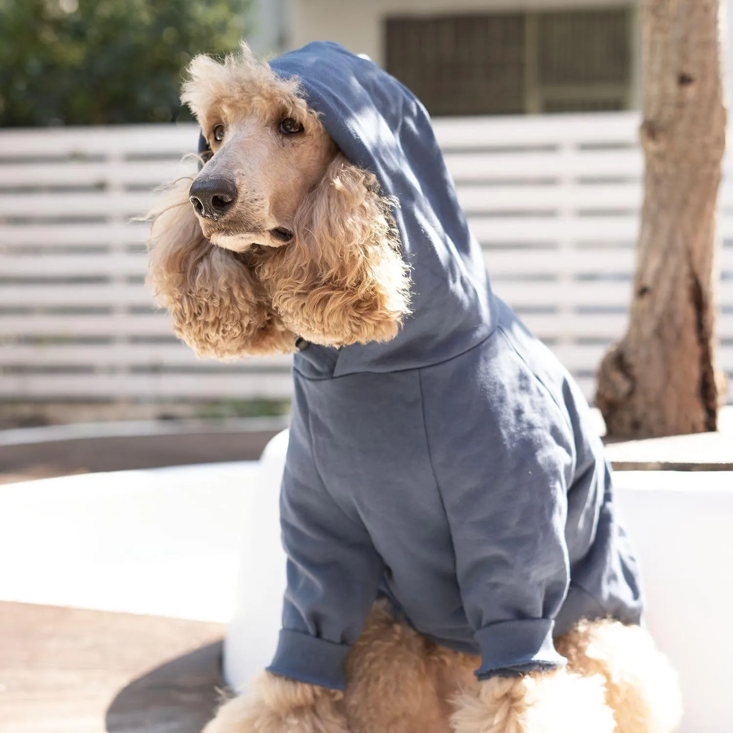 Dog Pet Clothes Hoodies Coat Hooded Sweatershirt for Extra Large Dogs Boy Girl Doggy Sweater Elastic Cotton Pullover Hoodie Sweaters for Shiba Inu Schnauzer Beagle Dachshund Puppy - Blue XL