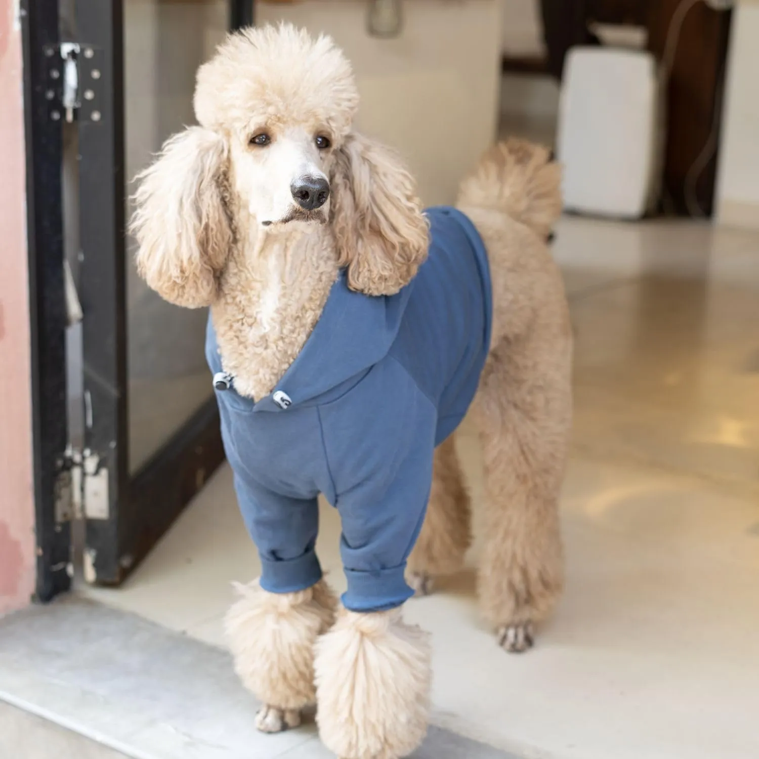 Dog Pet Clothes Hoodies Coat Hooded Sweatershirt for Extra Large Dogs Boy Girl Doggy Sweater Elastic Cotton Pullover Hoodie Sweaters for Shiba Inu Schnauzer Beagle Dachshund Puppy - Blue XL