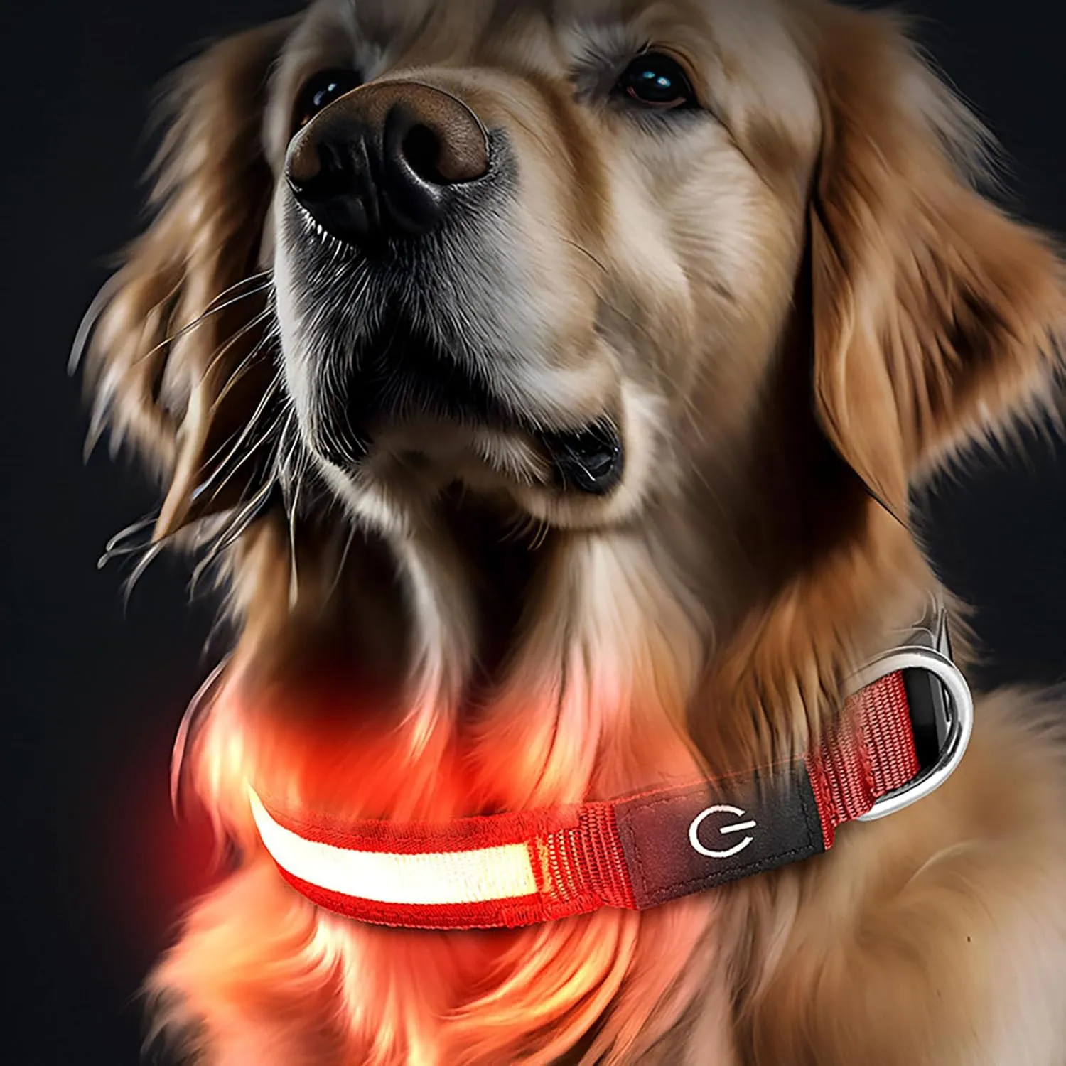 Glow-in-The-Dark LED Dog Collar with Rechargeable Light, Waterproof Night Safety Collar for Large, Medium, and Small Dogs (Pink, 23.62 inch)
