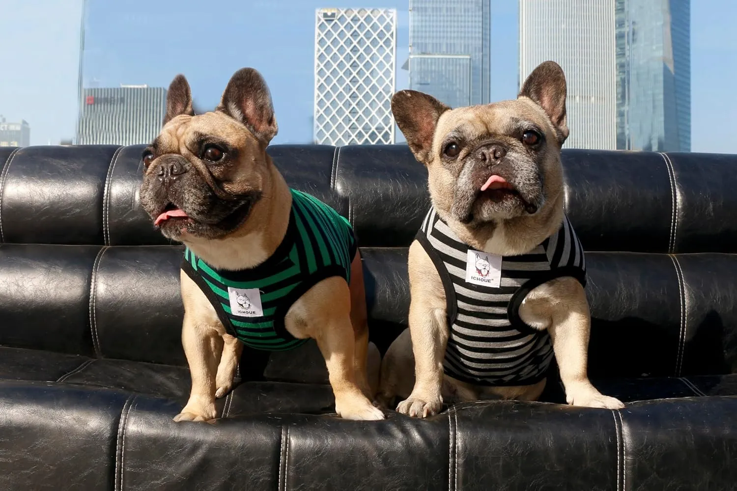 iChoue French Bulldog 100% Breathable Cotton Striped T Shirts Halloween Vest Clothes for Medium Dogs Tank Tops Frenchie Pug English Boston Terrier Pitbull Green Black Stripes - Large
