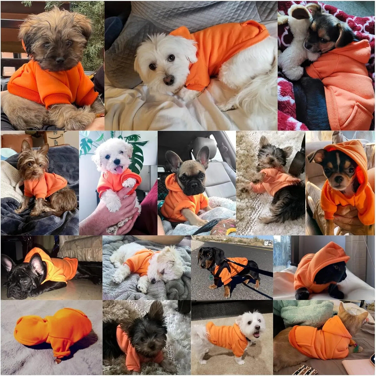 Jecikelon Winter Dog Hoodie Sweatshirts with Pockets Warm Dog Clothes for Small Dogs Chihuahua Coat Clothing Puppy Cat Custume (Orange, X-Small)