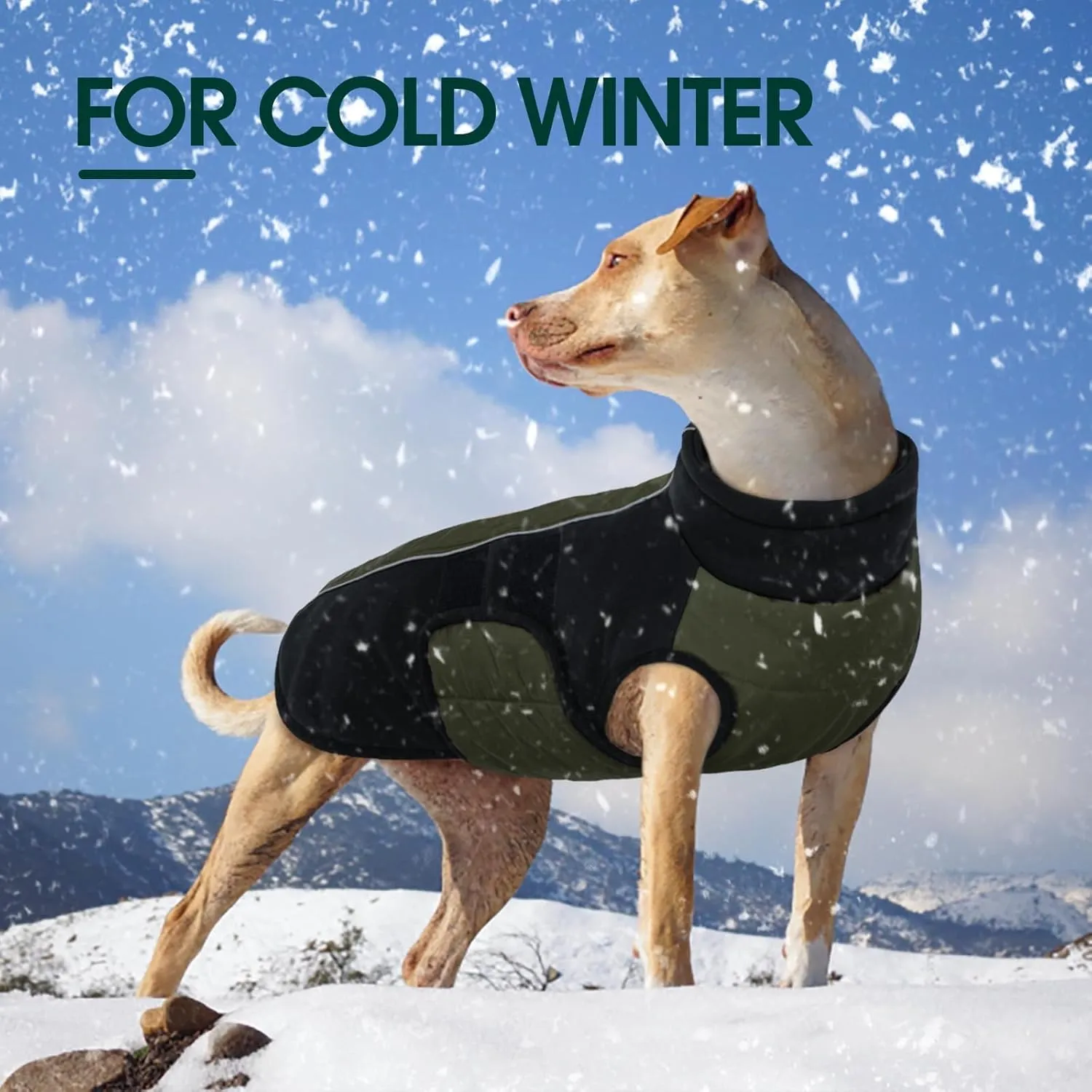 Kuoser Dog Coats for Small Dogs, Warm Dog Coat with Harness Built in, Dog Winter Jacket Pet Clothes for Cold Weather, Reflective Waterproof Doggie Winter Vest for Pug Dachshund, Green S