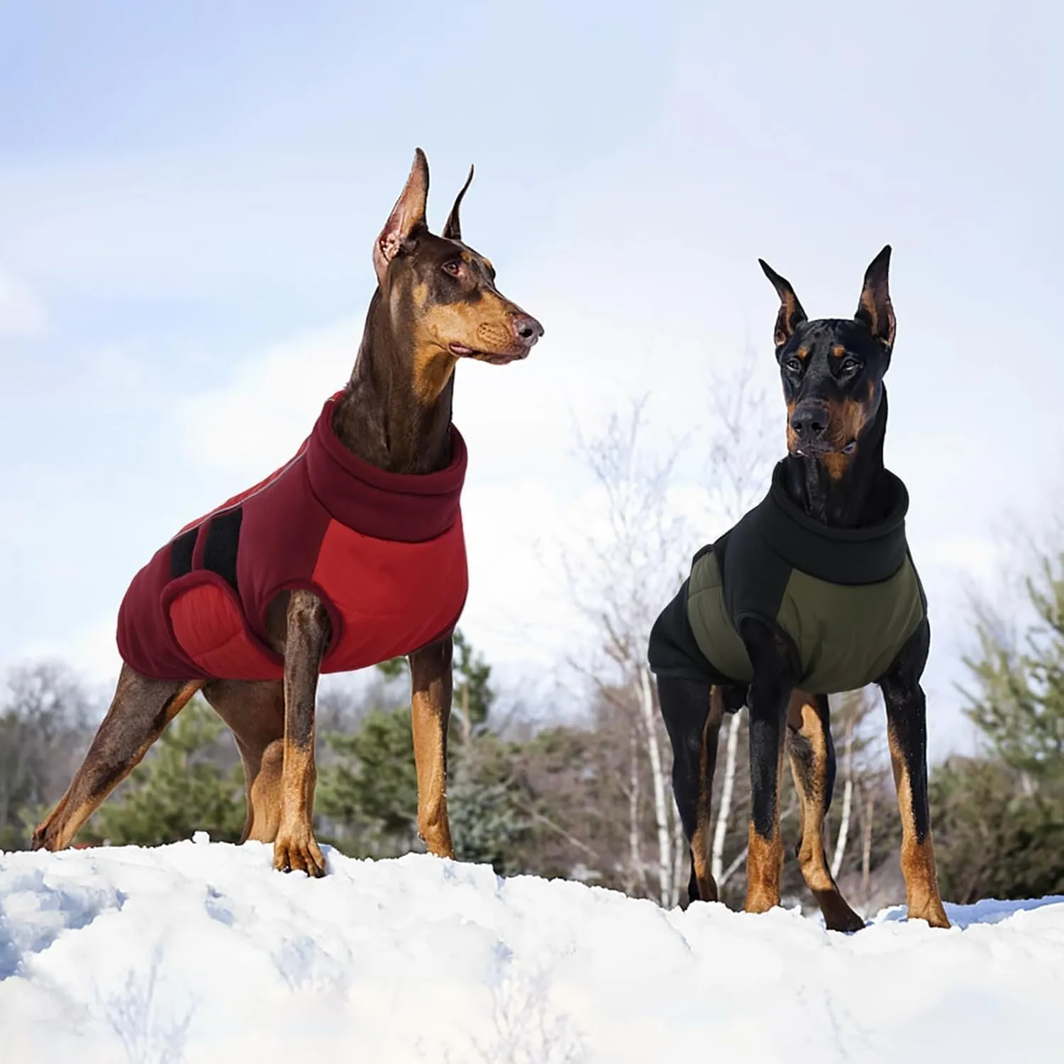 Kuoser Dog Coats for Small Dogs, Warm Dog Coat with Harness Built in, Dog Winter Jacket Pet Clothes for Cold Weather, Reflective Waterproof Doggie Winter Vest for Pug Dachshund, Green S