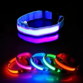 LED Rechargeable Adjustable Luminous Dog Collar for Small, Large, XX-Large Dogs for Better Visibility and Safety of Your Dogs in Dark. (3 Sizes & 5 Colors) (Blue, XX-Large)