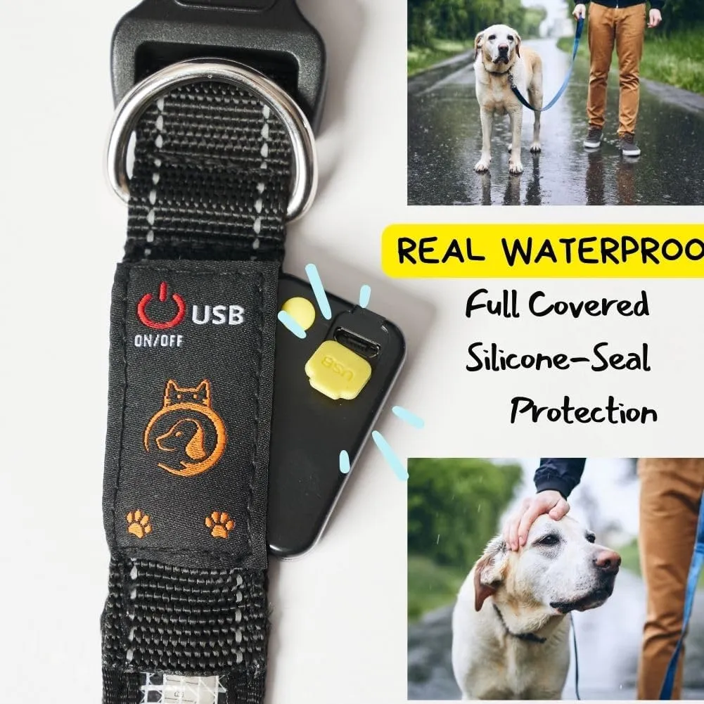 Light Up Dog Collar,Led Dog Collar,Rechargeable Waterproof Led with Remote,Breakaway,Glow in Dark,Lights for Night WalkingMedium B