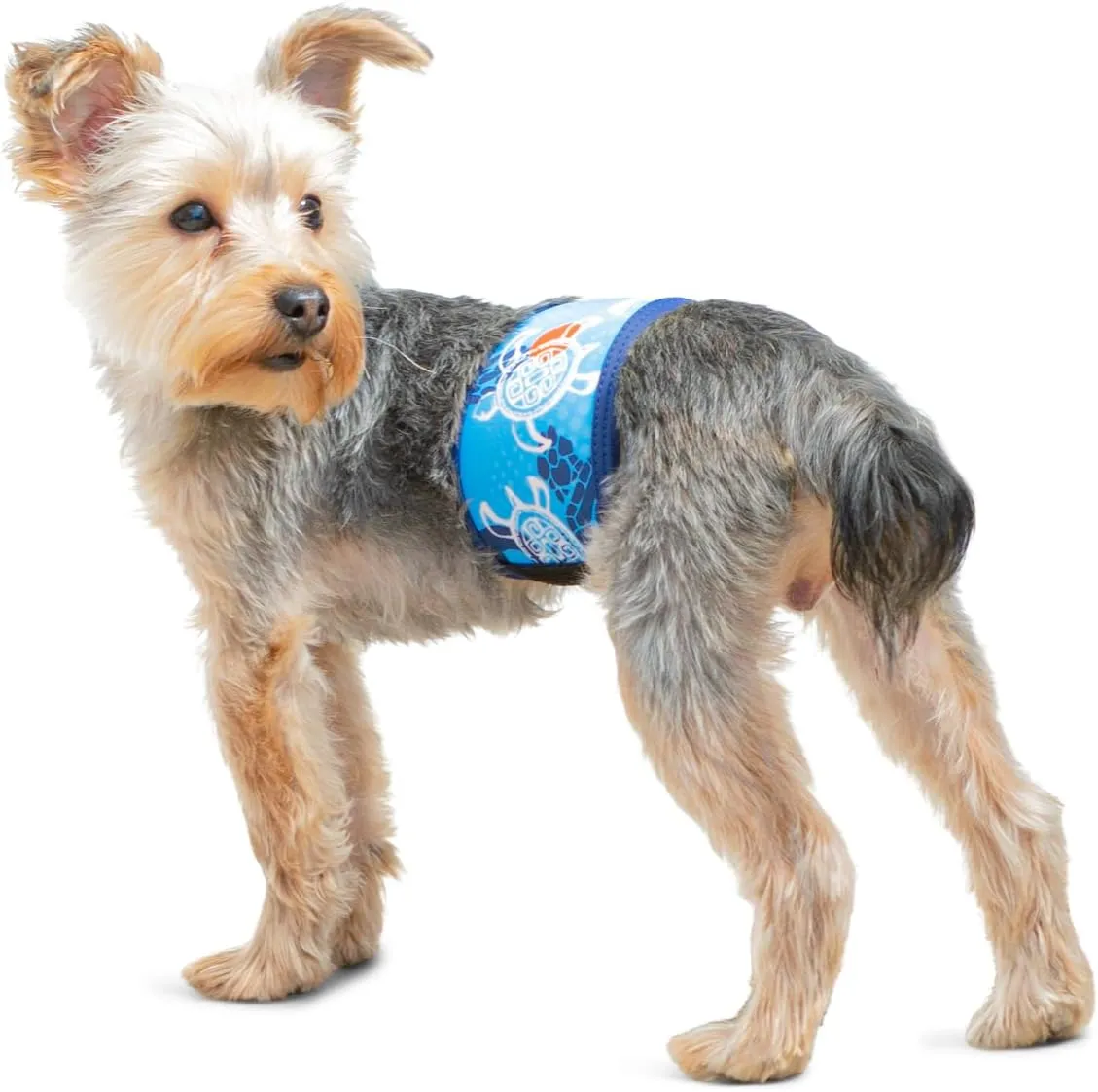 Male Dog Belly Band, Washable and Reusable, Global Tuga Blue, X-Small