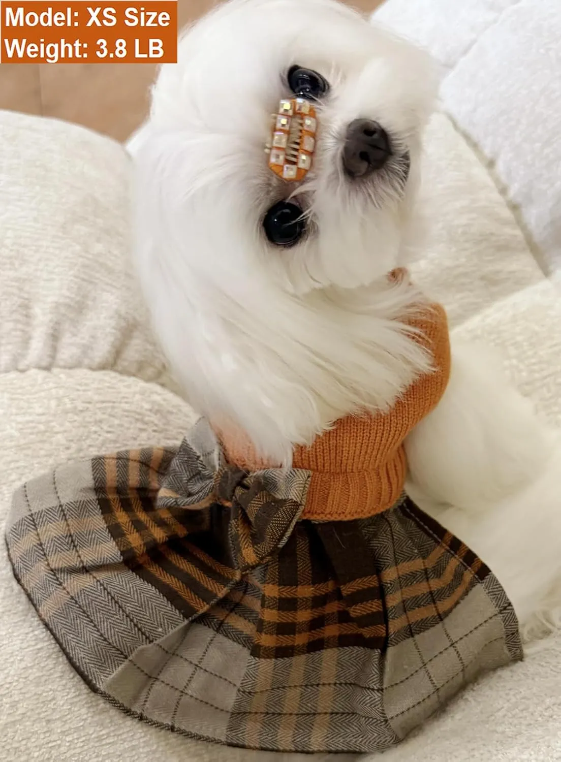 Orange Knitted Dog Sweater Dress, Dog Sweaters for Small Dogs Girl, Maltese Cat Apparel, Small (S)