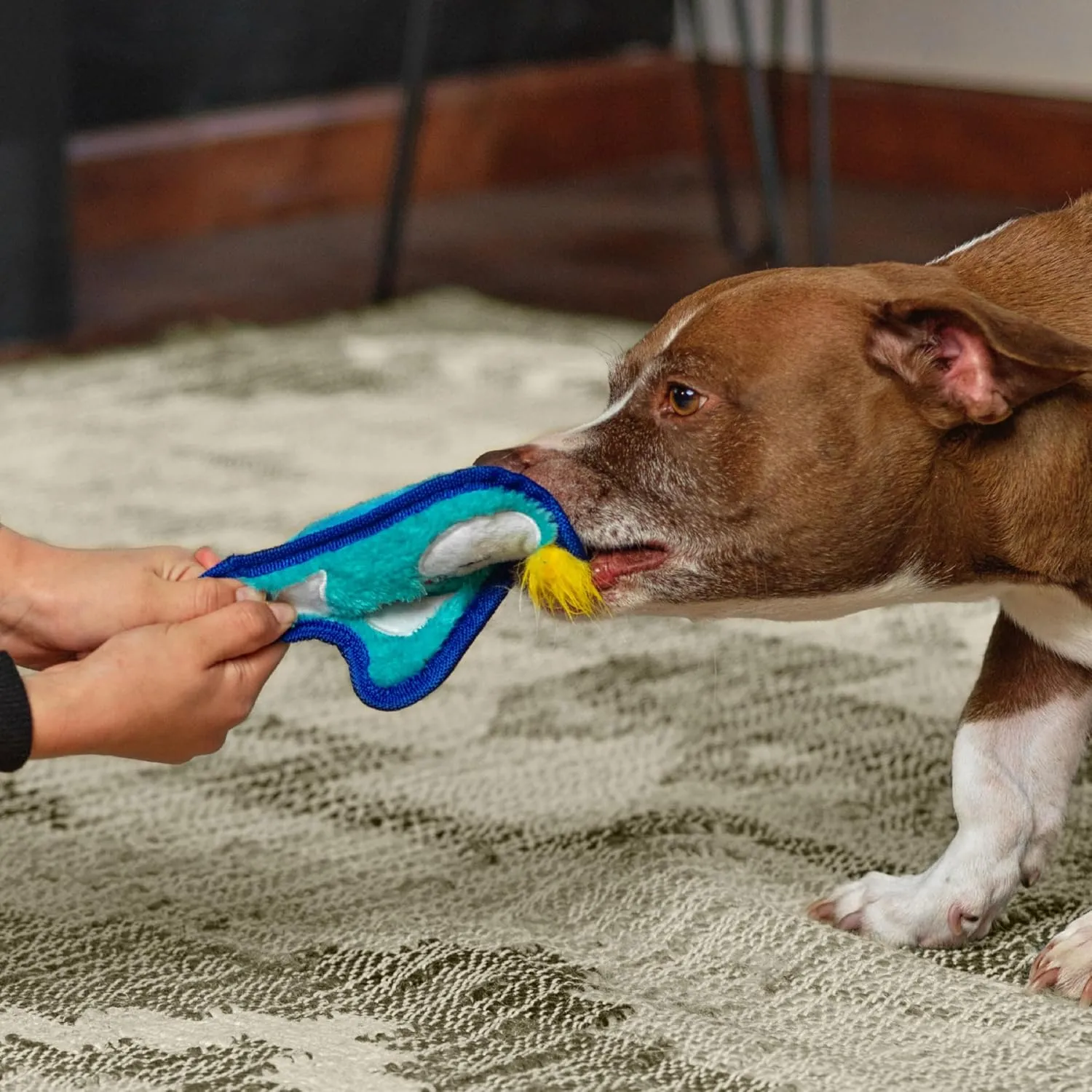 Outward Hound Durablez Minis Stuffing-Free Squeaky Interactive Dog Toy, Tough Plush, Penguin, Blue, XS