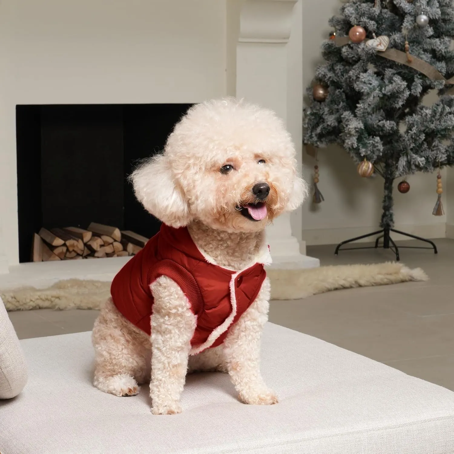 pet Clothing Fleece Lining Extra Warm Dog Hoodie in Winter,Small Dog Jacket Puppy Coats with Hooded Coat Clothing Puppy(Red,Medium)