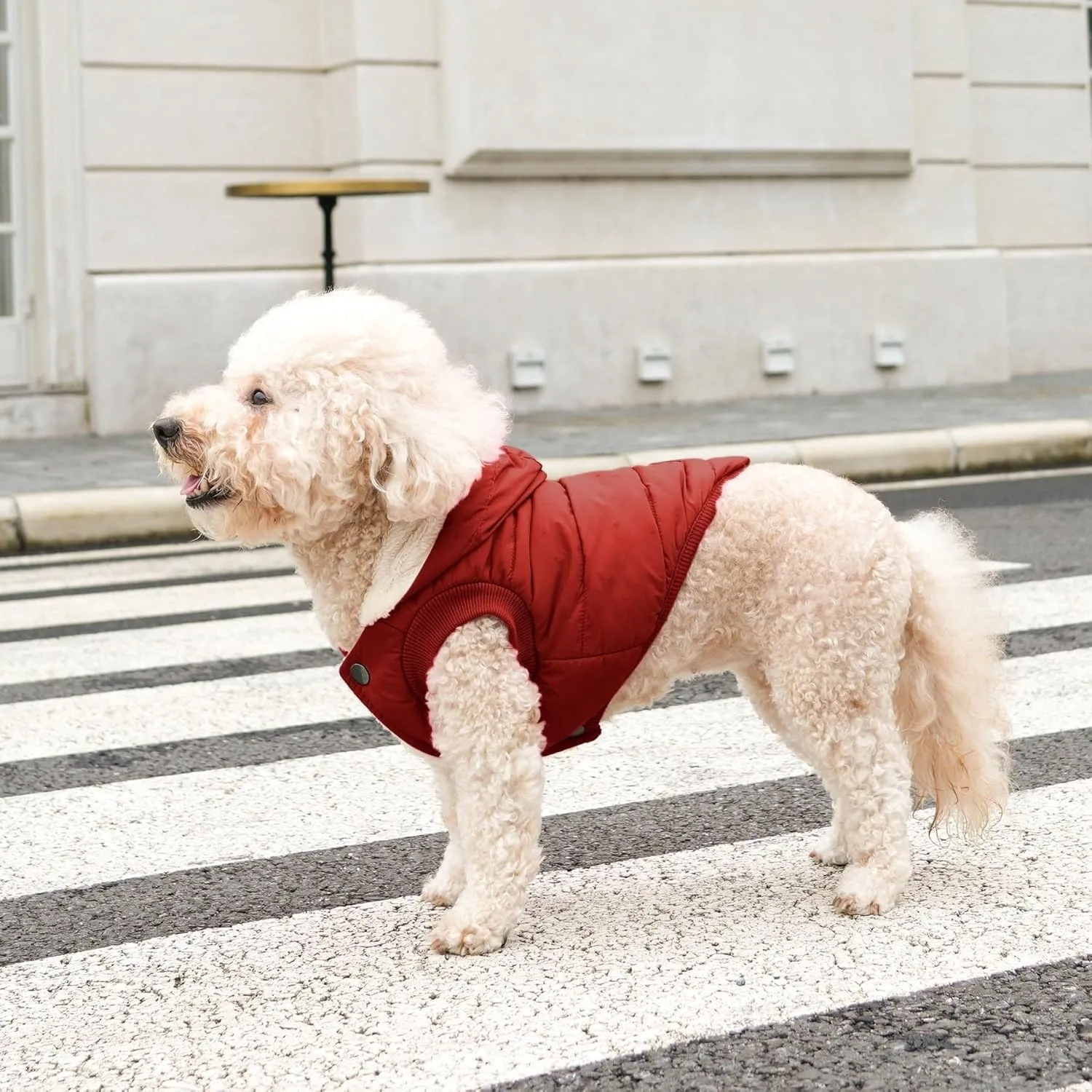 pet Clothing Fleece Lining Extra Warm Dog Hoodie in Winter,Small Dog Jacket Puppy Coats with Hooded Coat Clothing Puppy(Red,Medium)