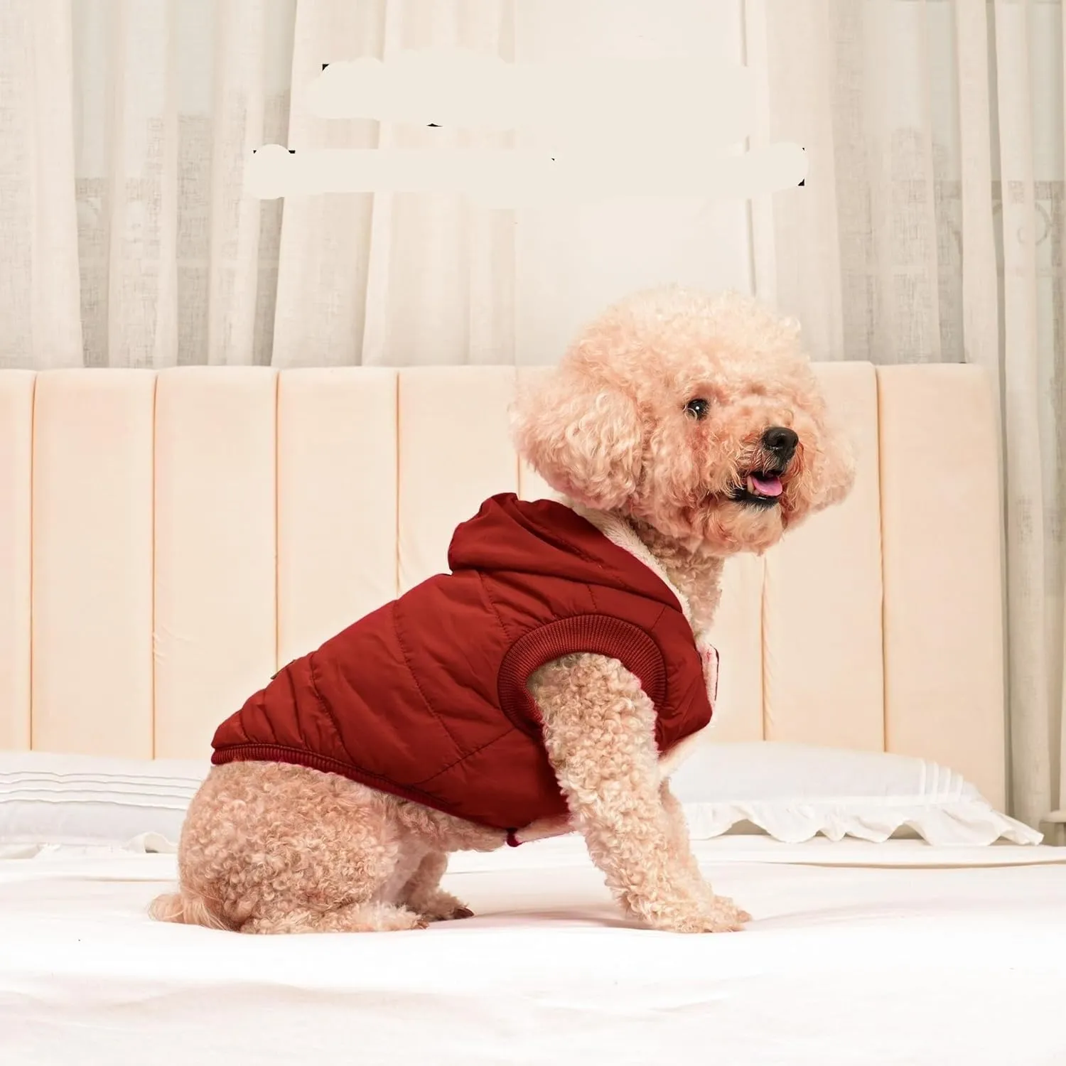 pet Clothing Fleece Lining Extra Warm Dog Hoodie in Winter,Small Dog Jacket Puppy Coats with Hooded Coat Clothing Puppy(Red,Medium)