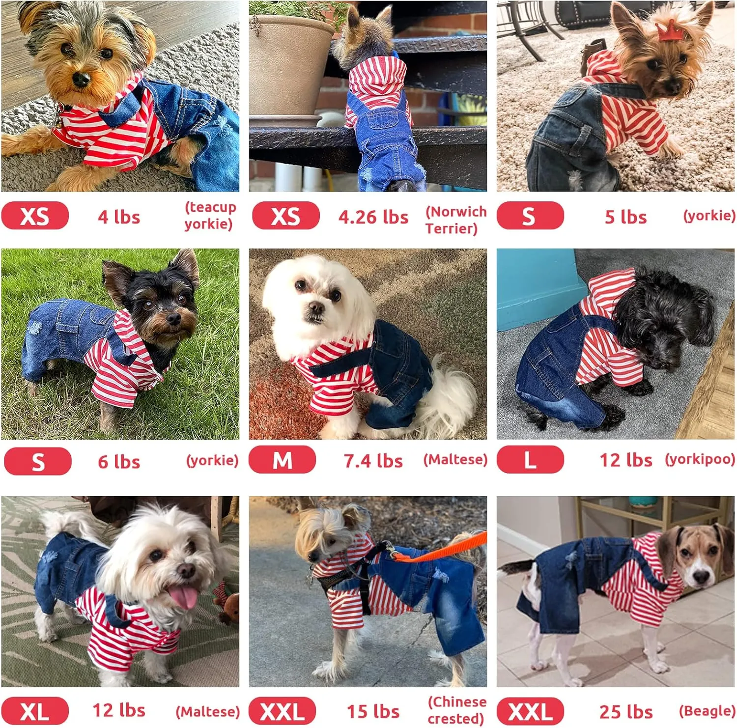 Small Dog Hoodie Clothes Cute Stripe Shirts Denim Jumpsuit One-Piece Outfit for Small Medium Dogs Cats Boy Girl Chihuahua Blue Jeans Overalls Puppy Costume (Red,XL)
