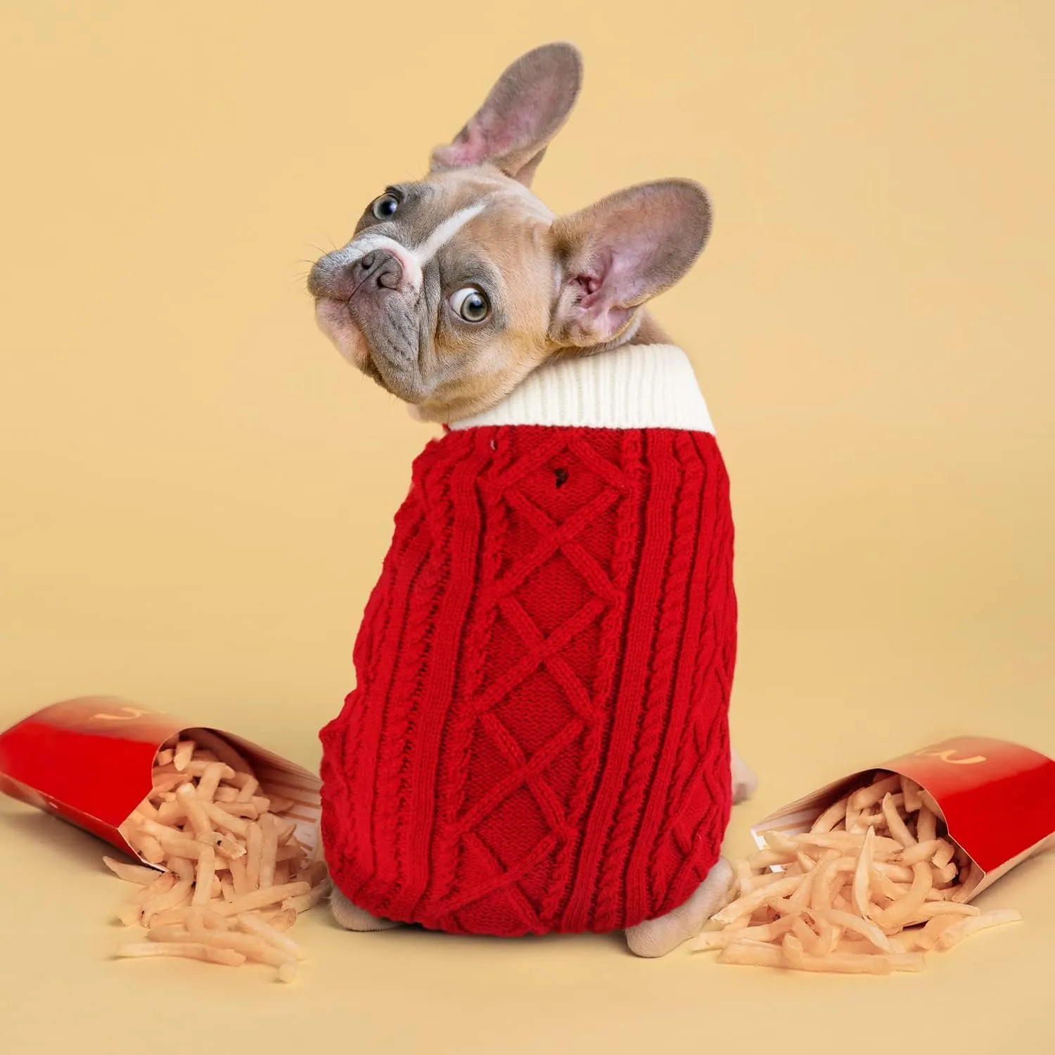 Small Dog Sweaters with Leash Hole Turtleneck Dog Sweaters Knitwear Boys Girls Warm Soft and High Stretch Pet Clothes for Fall WinterPet Shirts for Kitten Puppy Red Medium