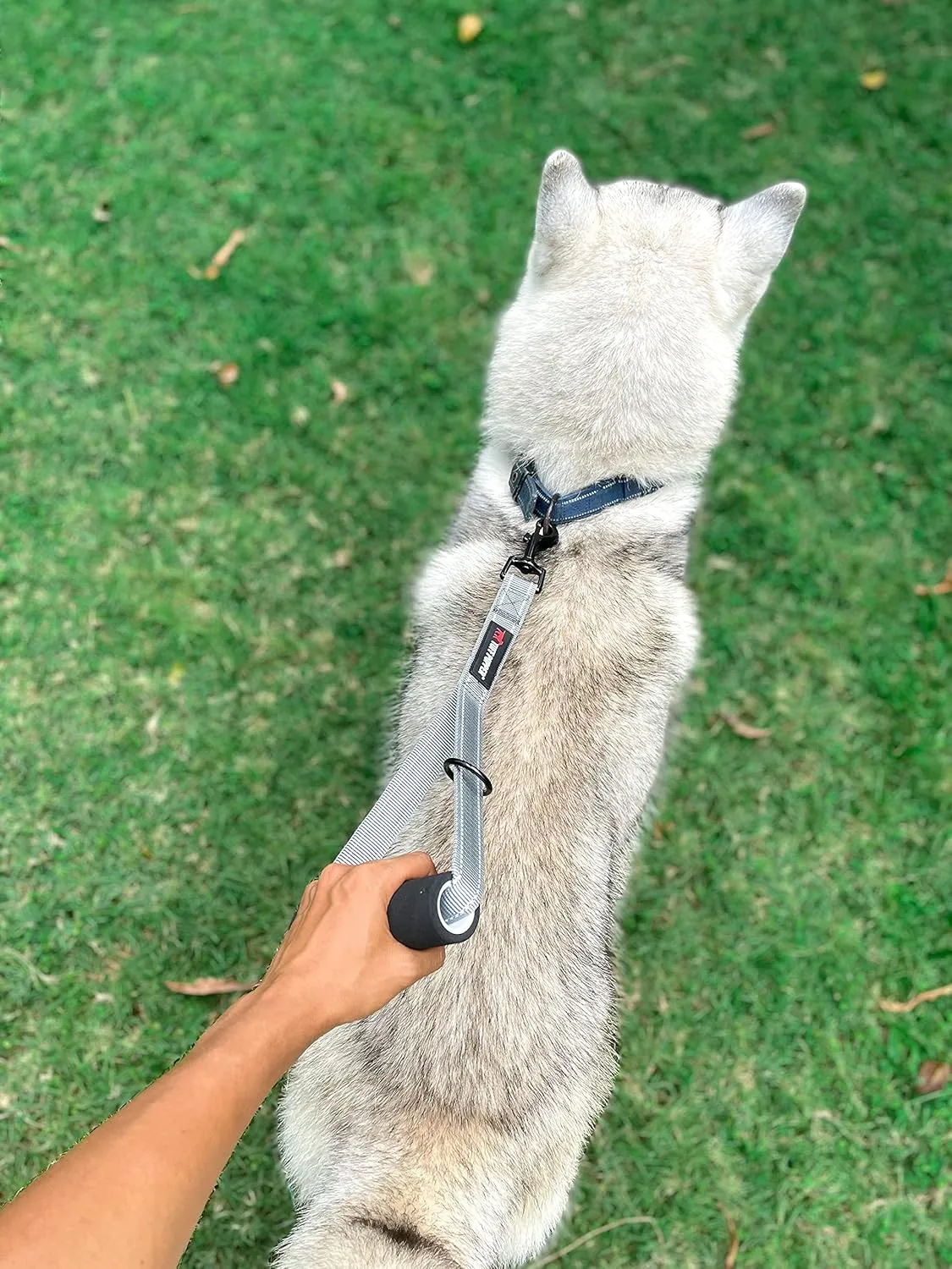 Tuff Pupper Service Dog Leash With Handle for Large Dogs | 12 Inch | Perfect for Service Harness & Training | Traffic Handle With Padding | Short Coupler